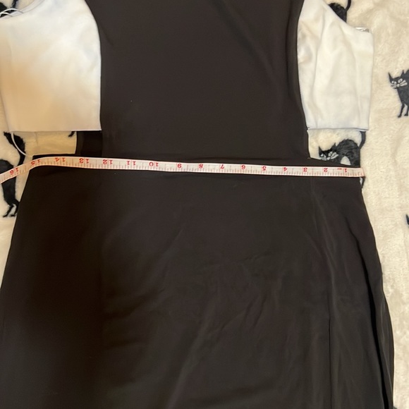 Zara | Women’s Black Dress w| White Side Panel Cutout | Black / White Large. New - Picture 5 of 9
